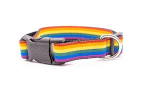 Pride Dog collar, leads and Harness.