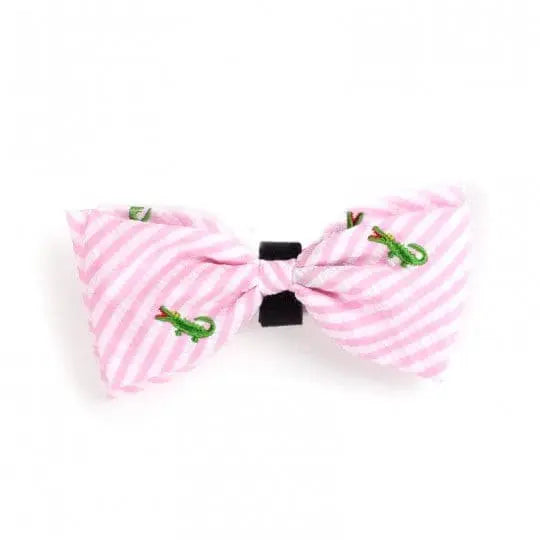 Bow Ties (Fall 2019 Collection).