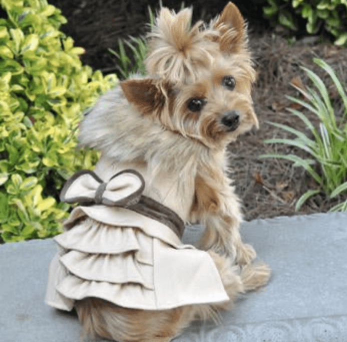 Wool Fur-Trimmed Dog Harness Coat - Camel.
