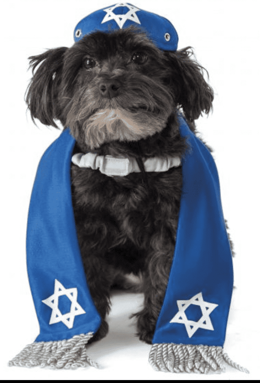 Yarmulke Tallis For pets.