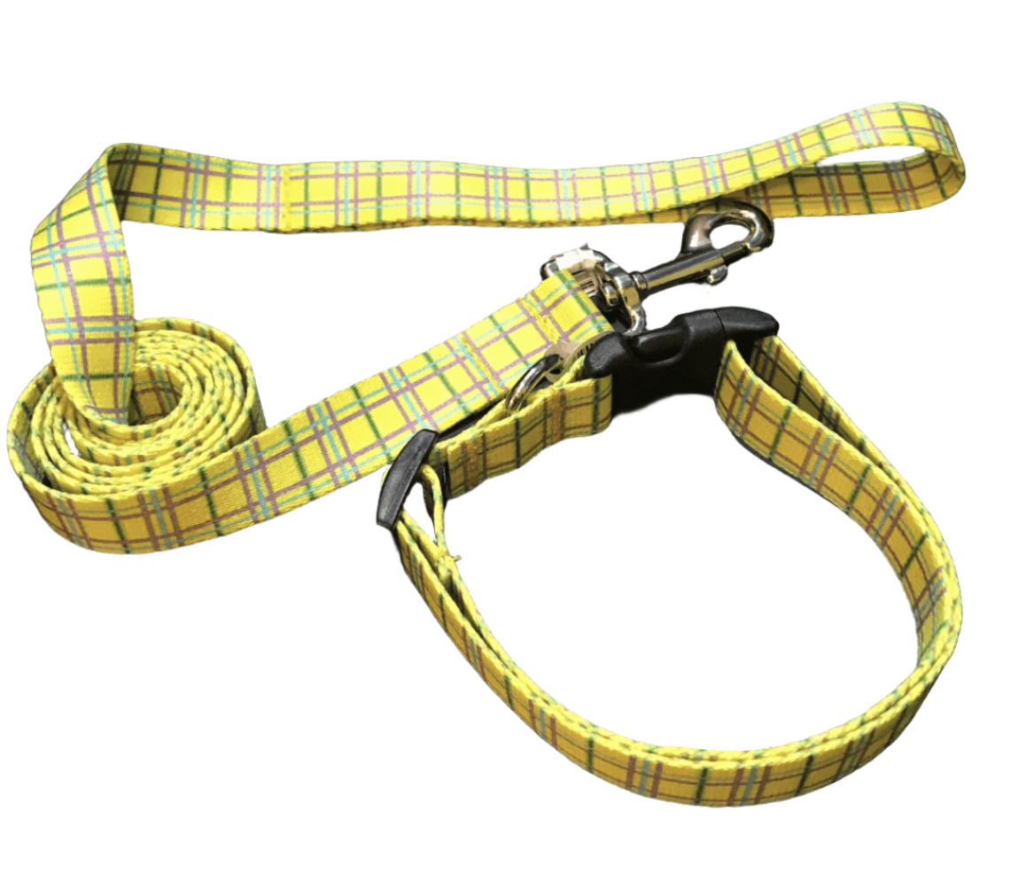 Yellow Easter Basket Argyle Dog Collar or Lead (1" Wide).