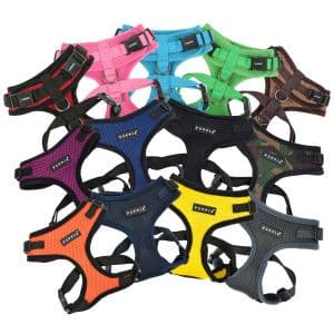 Ritefit Harness.