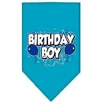 Birthday Boy Bandana.