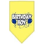 Birthday Boy Bandana.
