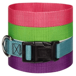 Adjustable Dog Collars.
