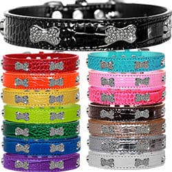 Croc Crystal Bone Dog Collar.