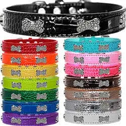 Croc Crystal Bone Dog Collar.
