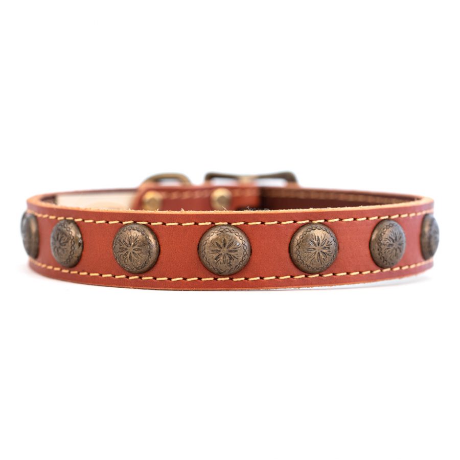 Lake Country Sunburst Collar (Tan).