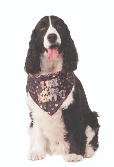 "Life of the Pawty" Bandana.