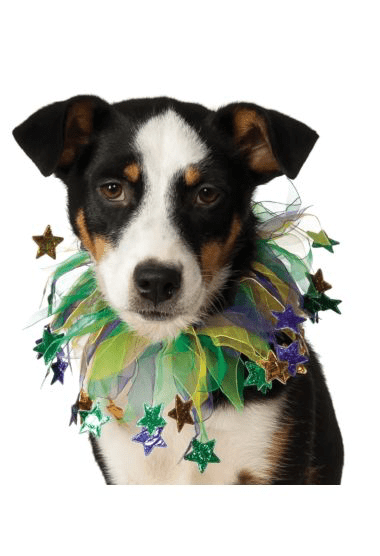 Deluxe Mardi Gras Organza Collar.