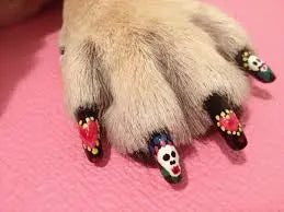 Service (Walk in Nail Polish (7 days a week).