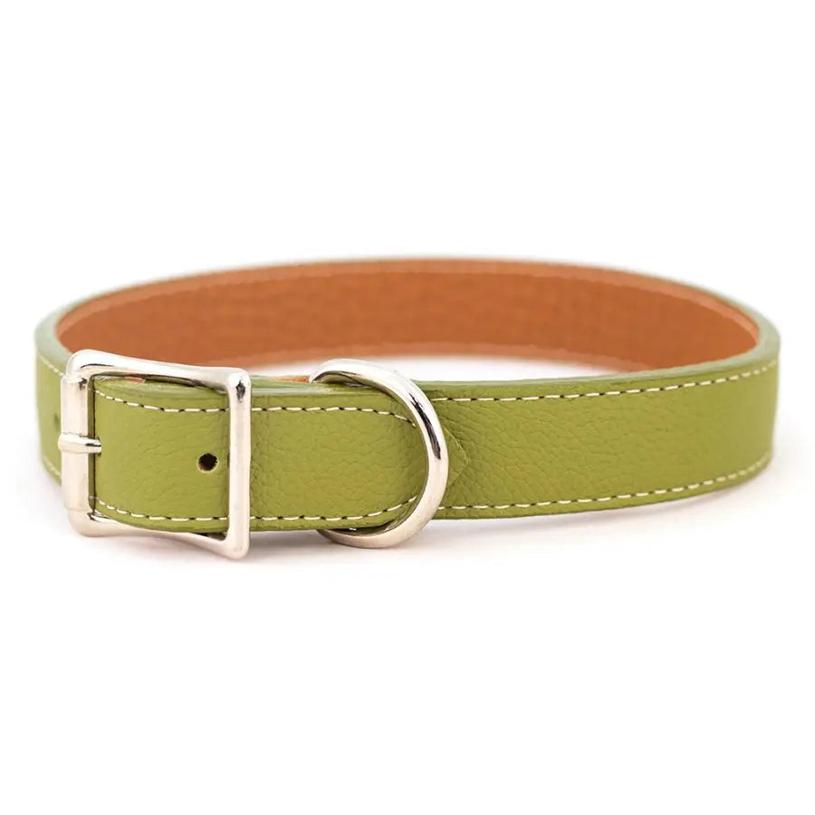 Tuscan Italian Leather Collar & Leash (Green).