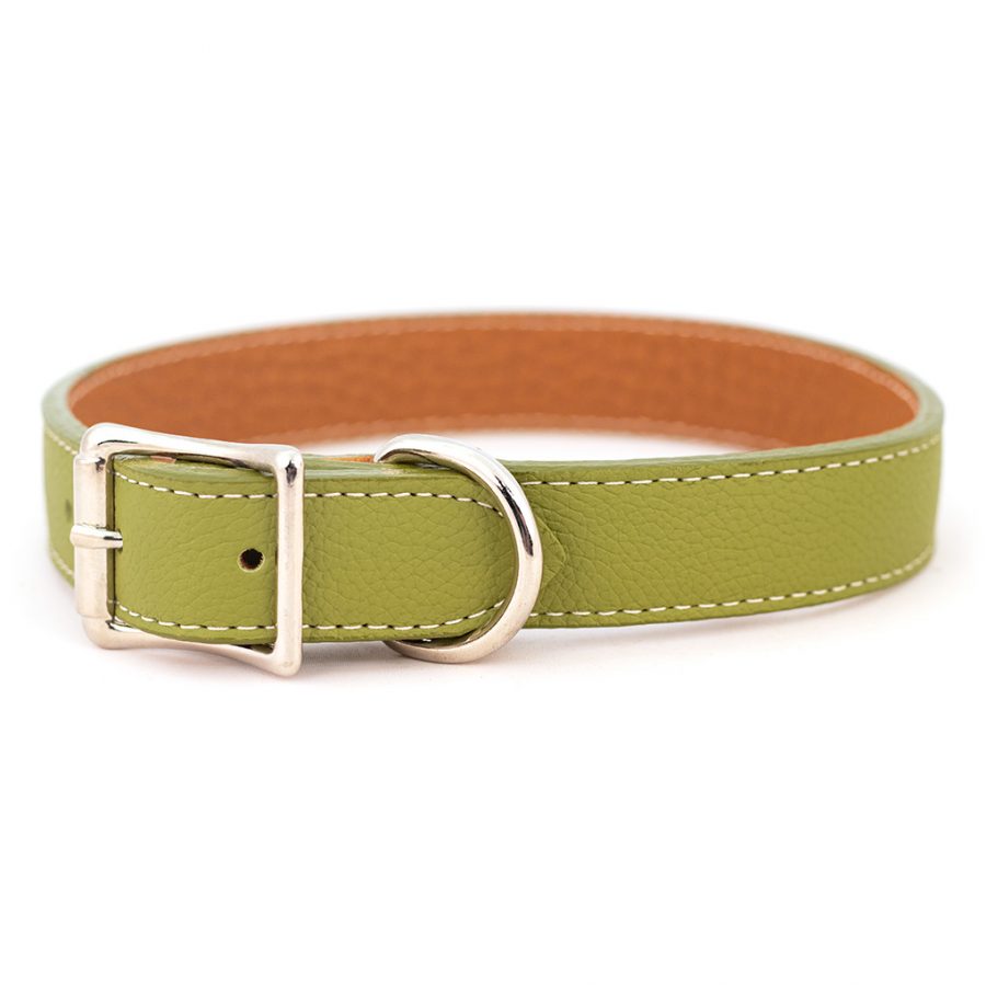 Tuscan Italian Leather Collar & Leash  (Green)