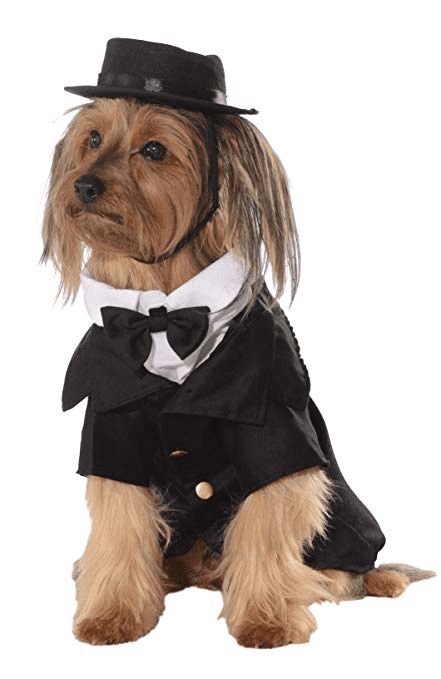 Dapper Dog Costume.