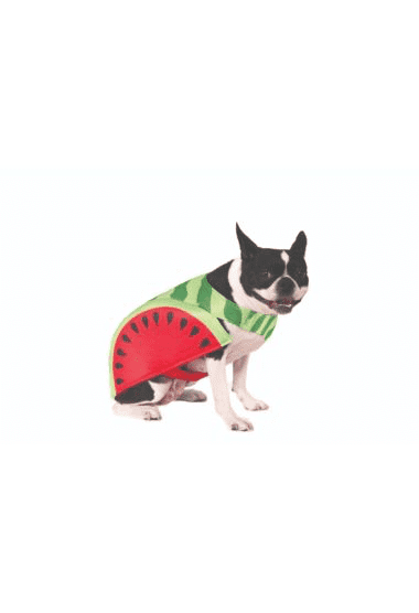 Watermelon Pet Costume.