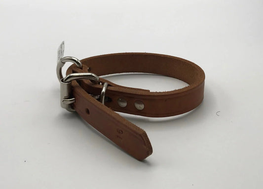 Plain Leather Collar.