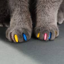 Walk in Service (Walk in Cat Claw Caps for Cats)