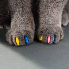 Walk in Cat Claw Caps for Cats.