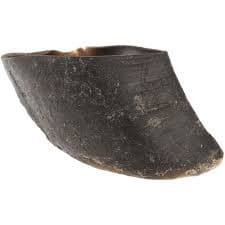 Beef Hoof Chews.