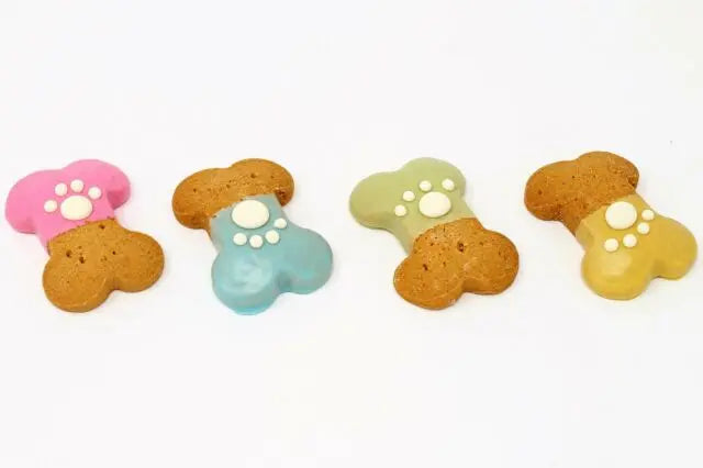 Party Bones with Paw Print.