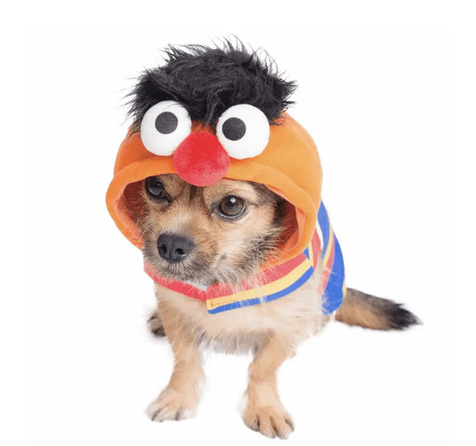 Ernie Pet Costume.