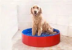 Service (Sensational Bath).