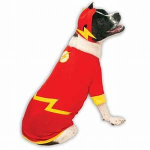 Flash Pet Costume.