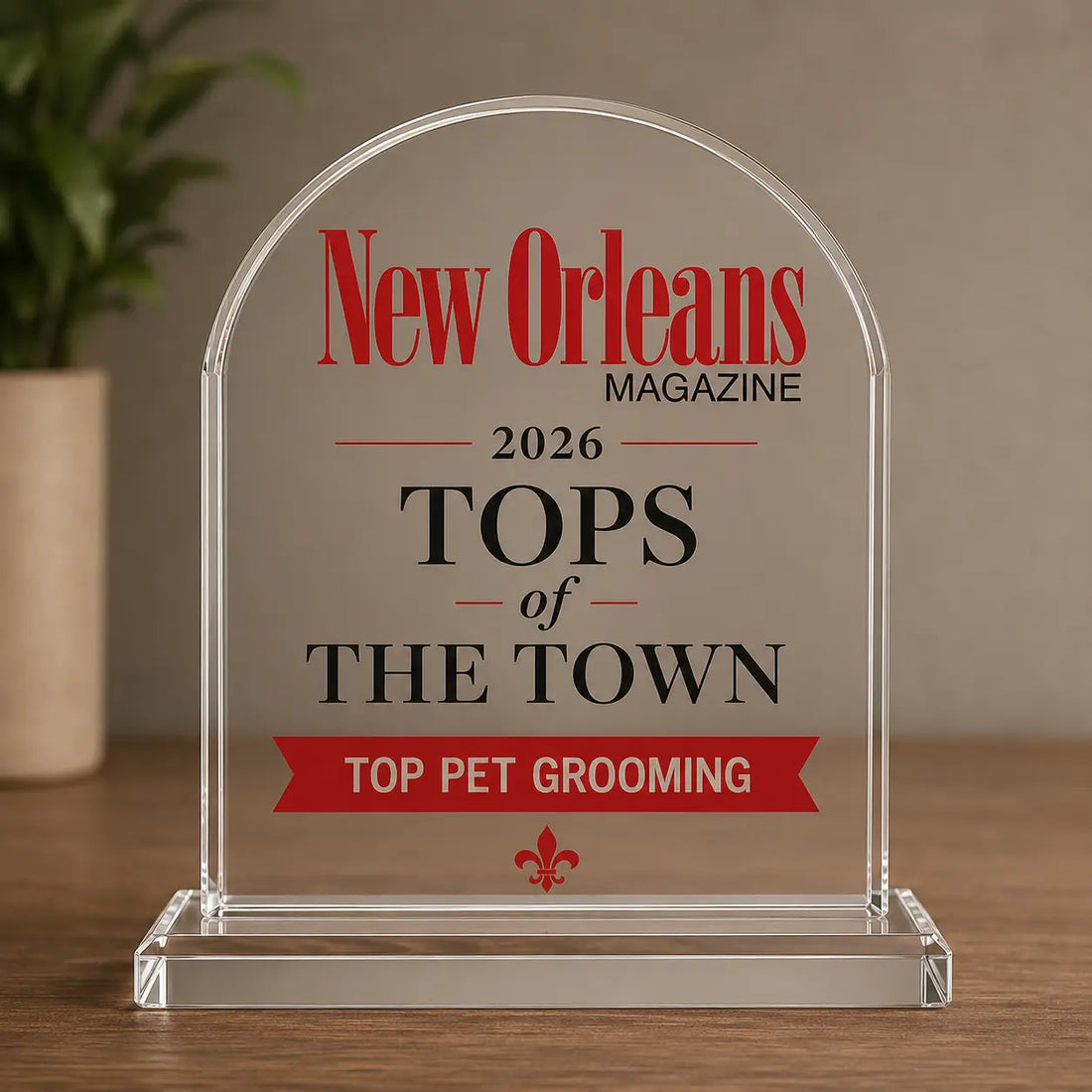 Petcetera NOLA Named 2026 New Orleans Magazine Tops of the Town Winner for Top Pet Grooming Petcetera NOLA