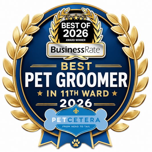 Petcetera Named Best Pet Groomer in the 11th Ward for 2026