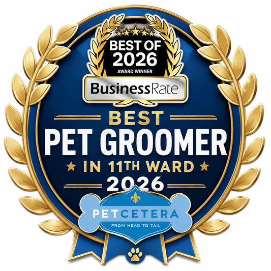 Petcetera Named Best Pet Groomer in the 11th Ward for 2026 Petcetera NOLA