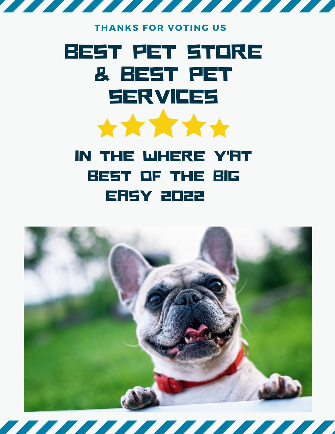 Thanks For Voting us Best Pet Store & Best Pet Services in the where Y'at, Best of the big easy 2022
