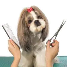 A message from Petcetera and our Grooming Staff