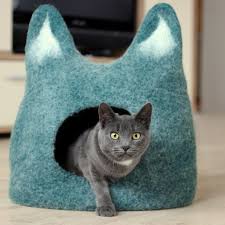 Cat Caves.
