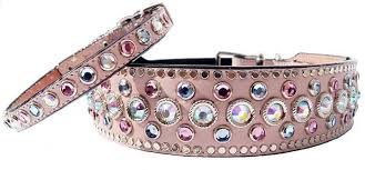 Fashion & Specialty Collars.