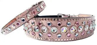 Fashion & Specialty Collars.