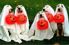 Halloween.