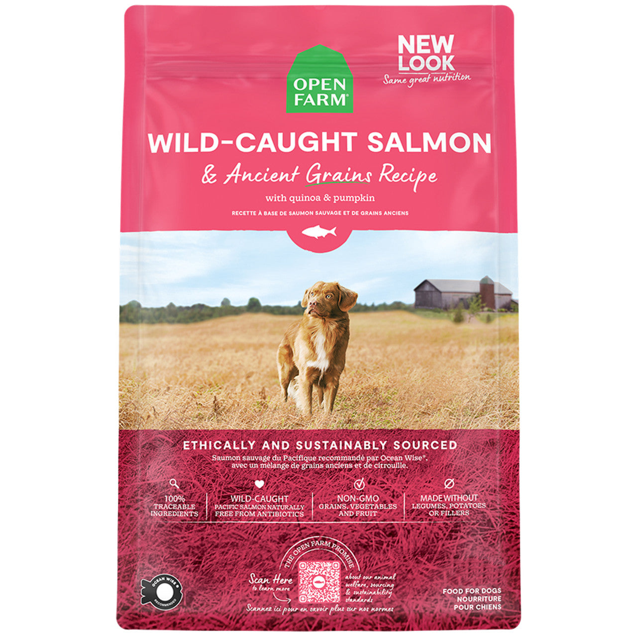 Open Farm Wild-Caught Salmon & Ancient Grains Recipe w/ Quinoa & Pumpkin Dry Dog Food