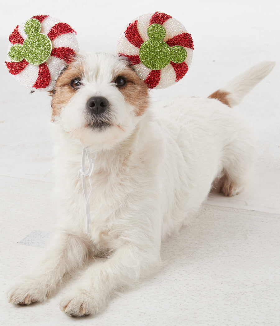 Mickey Candy Cane Ears.