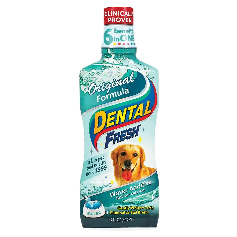 Synergy Labs Dental Fresh 17 oz