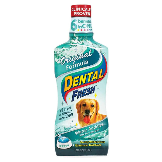 Synergy Labs Dental Fresh 17 oz
