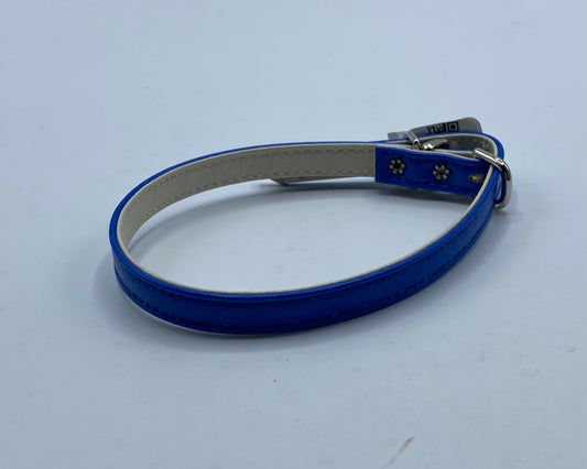 Majestic Dog Collar (Blue).