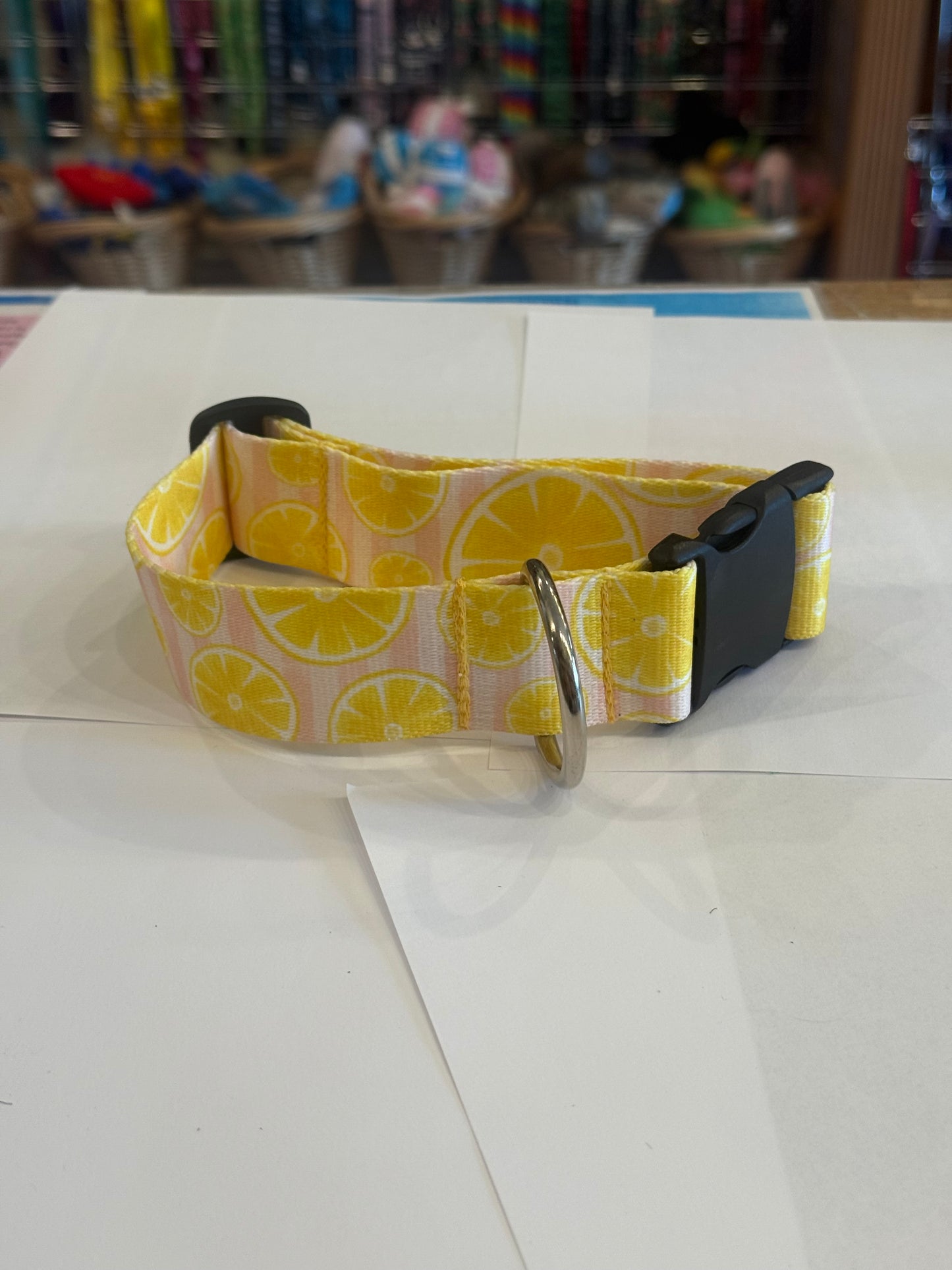 lemonade Stand   nylon Collars or leads (1" Wide)