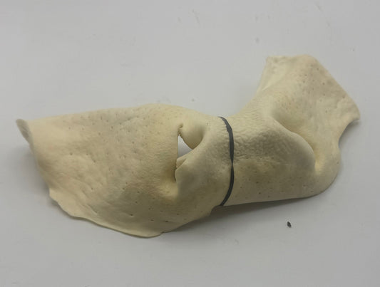 Puffed Cow Snout
