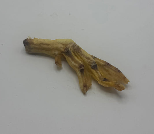 Duck  Feet
