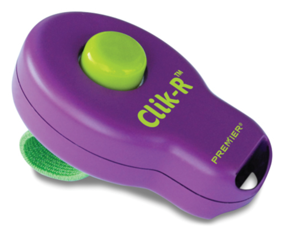 Clik-R™ Pet Training Tool