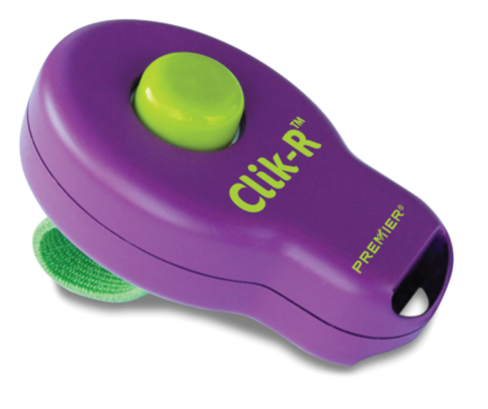 Clik-R™ Pet Training Tool.