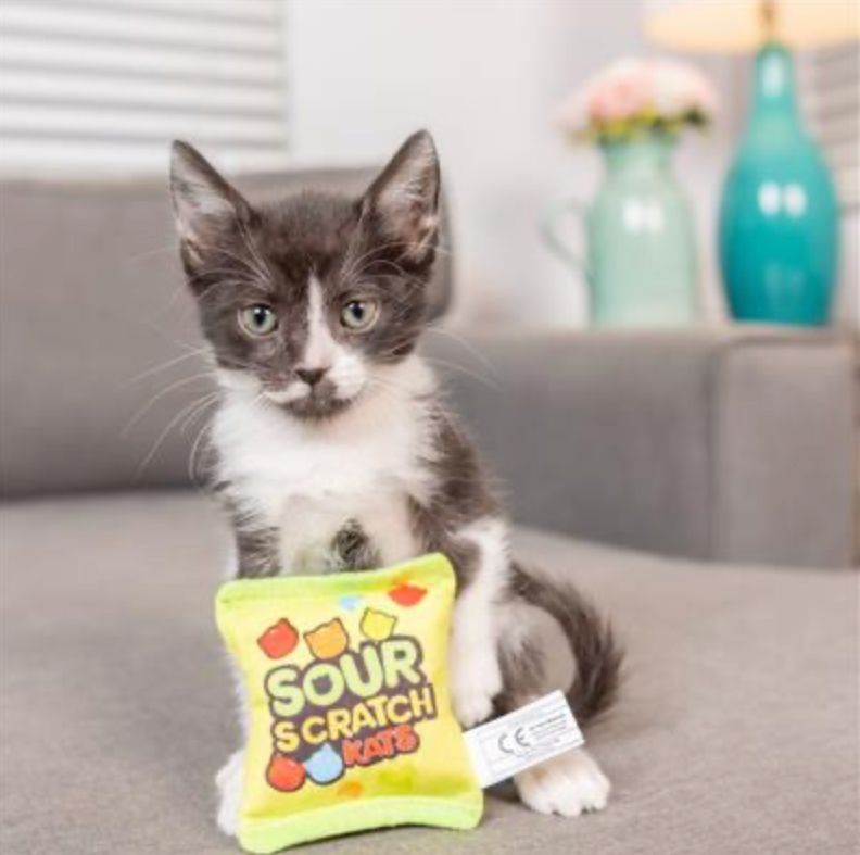 Sour Scratch Kats Plush Cat Toy