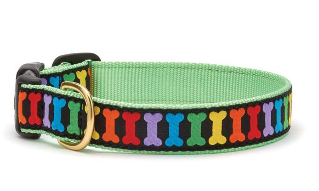 Rainbow Bones Dog Leads & Collars.