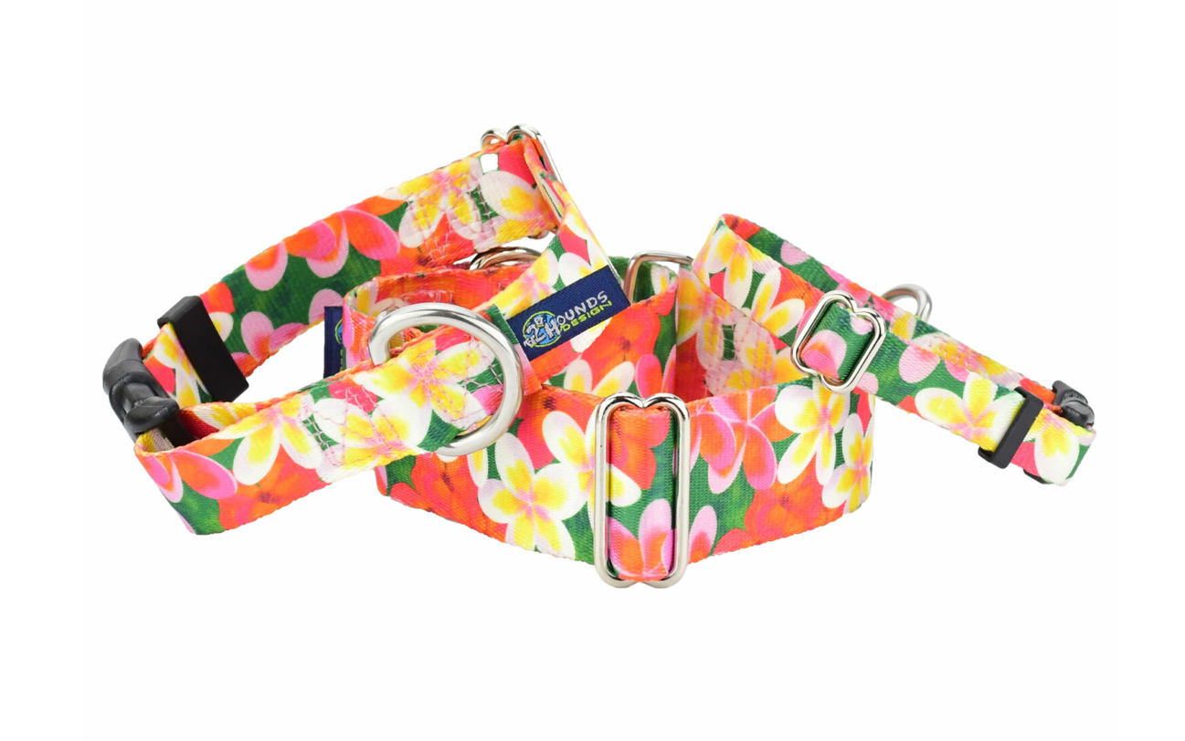 Aloha Dog Collars & Leash (1" wide)