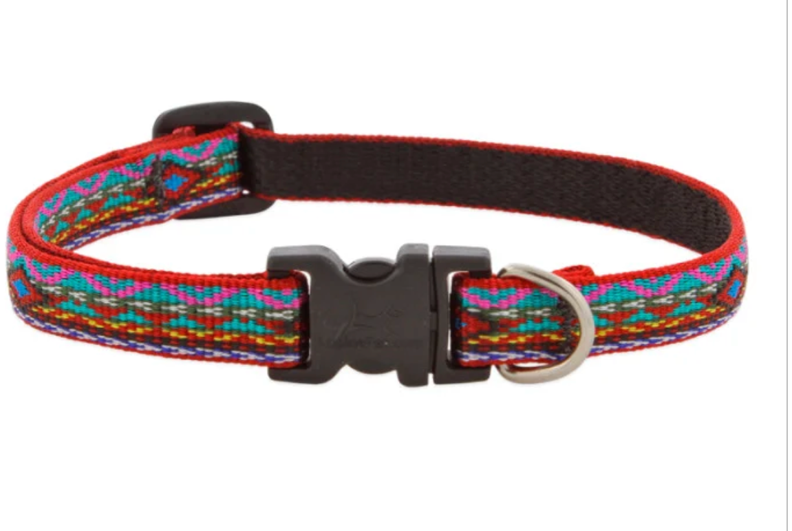 El Paso Dog Collars & Leads